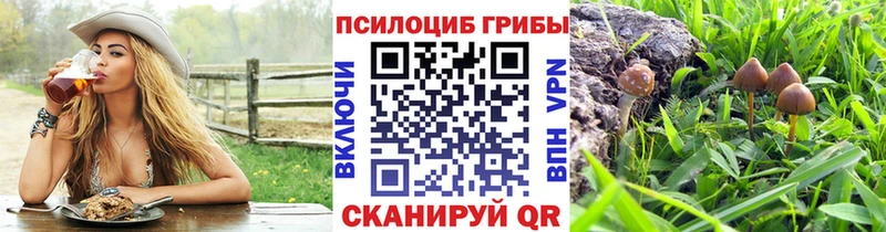 Галлюциногенные грибы мухоморы Верхняя Салда